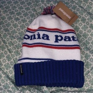 Patagonia Beanie